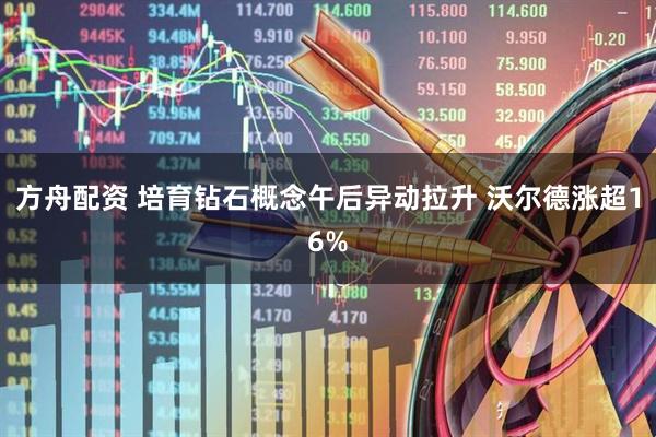 方舟配资 培育钻石概念午后异动拉升 沃尔德涨超16%