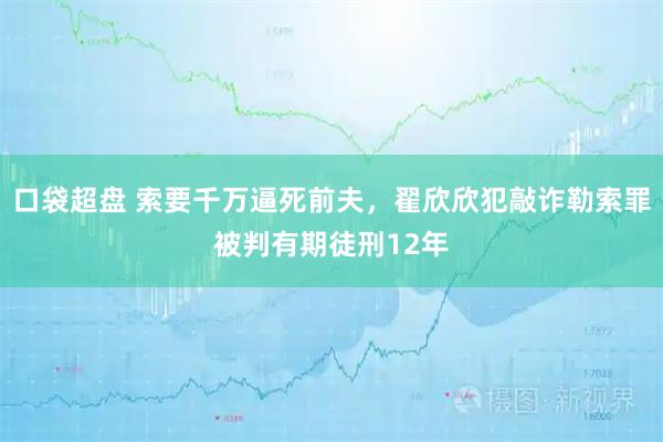 口袋超盘 索要千万逼死前夫，翟欣欣犯敲诈勒索罪被判有期徒刑12年