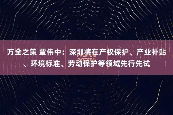 万全之策 覃伟中：深圳将在产权保护、产业补贴、环境标准、劳动保护等领域先行先试