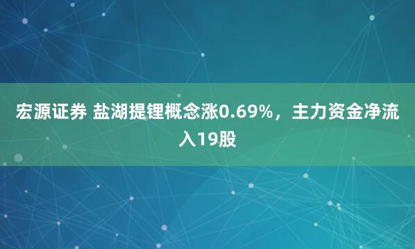 宏源证券 盐湖提锂概念涨0.69%，主力资金净流入19股