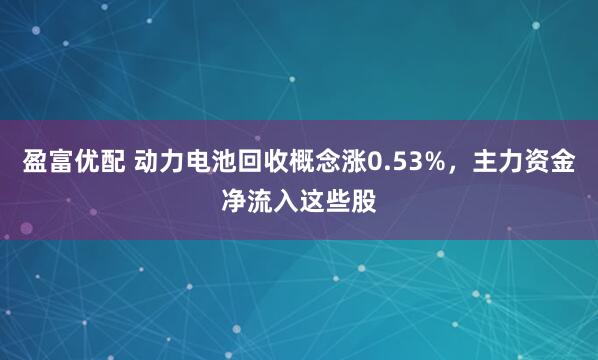 盈富优配 动力电池回收概念涨0.53%，主力资金净流入这些股