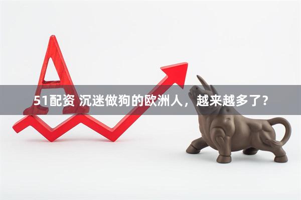 51配资 沉迷做狗的欧洲人，越来越多了？