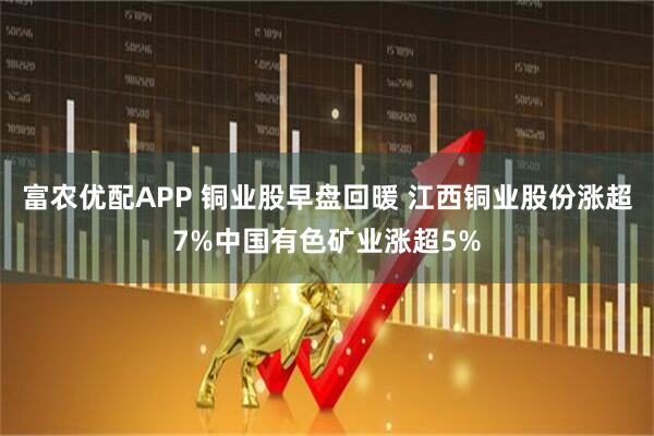 富农优配APP 铜业股早盘回暖 江西铜业股份涨超7%中国有色矿业涨超5%